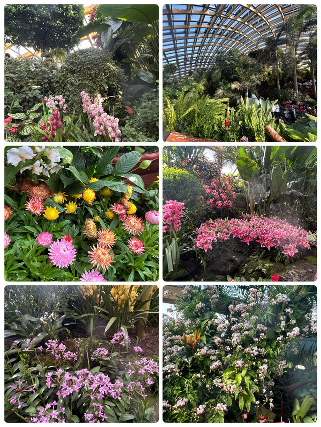 冬日裏的太原植物園