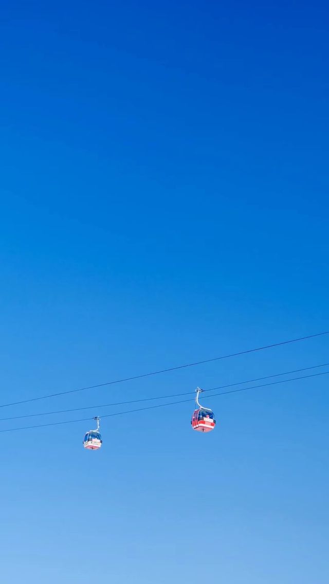 一鍵開啟哈爾濱伏爾加莊園，邂逅冬日浪漫
