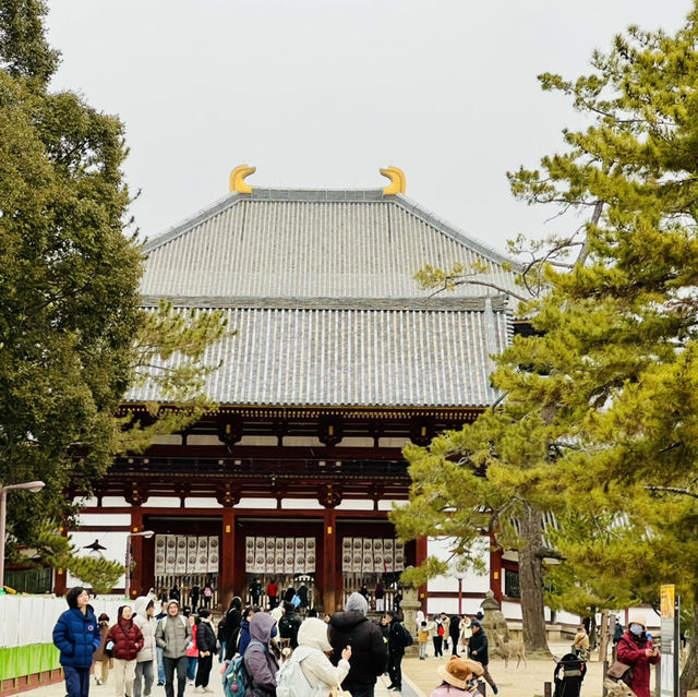 大阪周邊@奈良東大寺