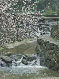 誤入現實版綠野仙蹤，邂逅修水煙雨古村