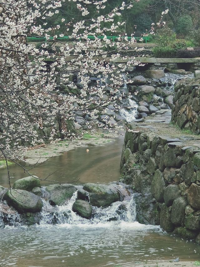 誤入現實版綠野仙蹤，邂逅修水煙雨古村