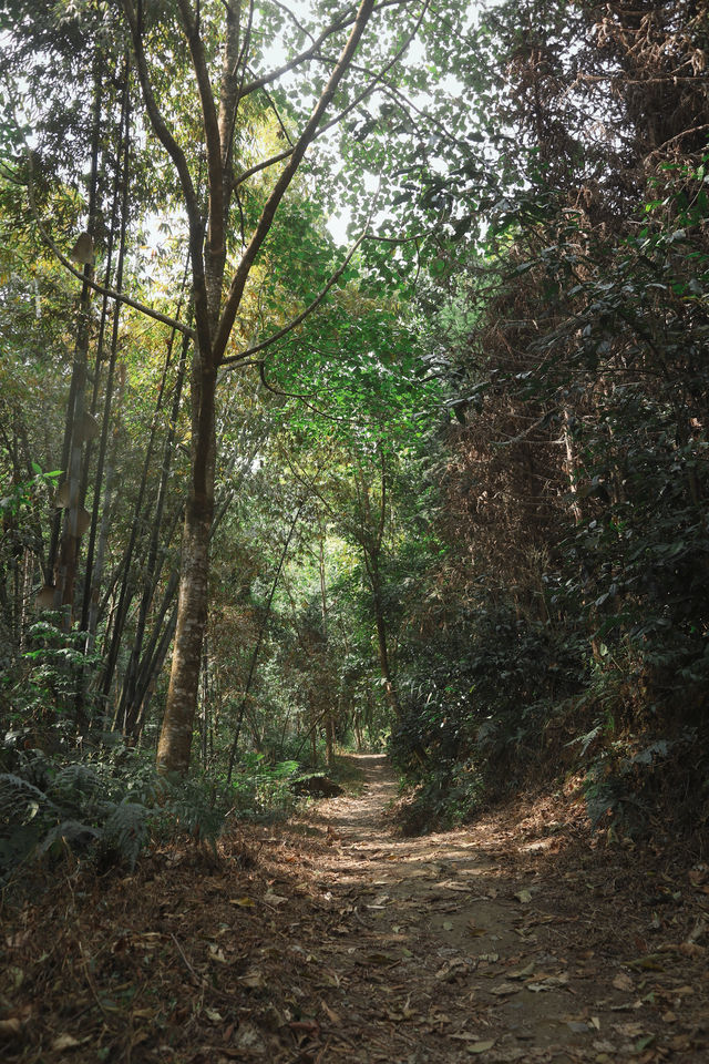 徒步芒市象滾塘 城區出發30分鐘抵達驚喜路線