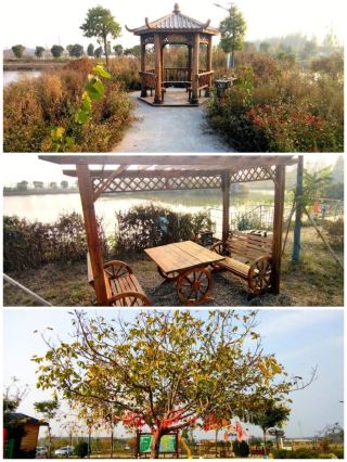 Sunday 8 Eco-Agricultural Park