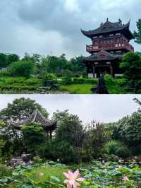 探索廣西貴港園博園，感受園林之美