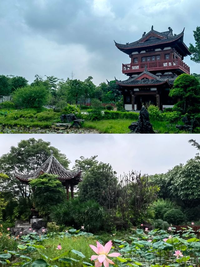 探索廣西貴港園博園，感受園林之美