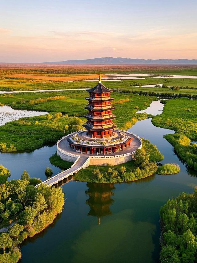 中國東營，黃河畔的生態寶藏之地！