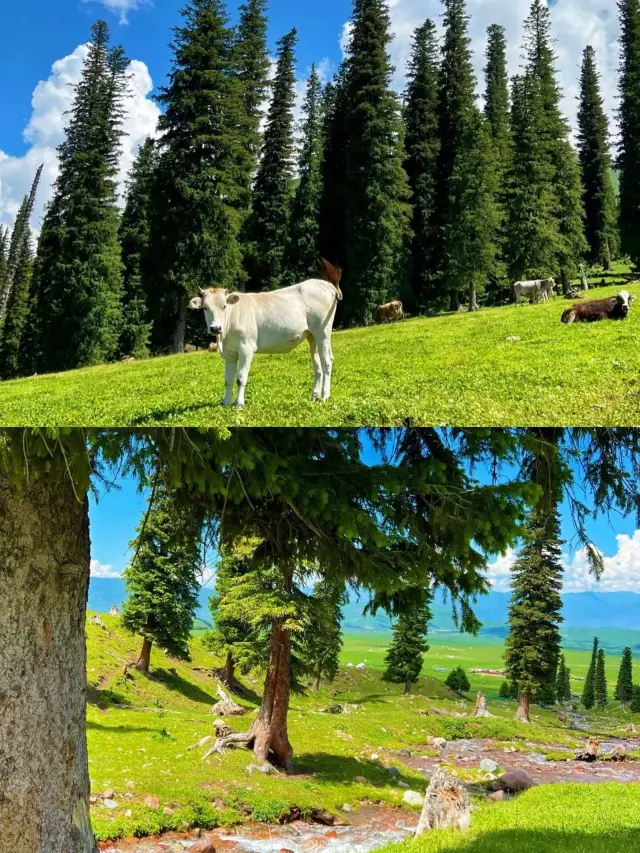 18-Day Detailed Itinerary Across Hami-Kanas-Yining: A Quick Look