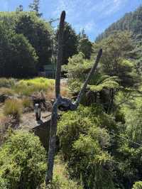 A Historical Mining Site Reclaimed By Nature, A Fascinating Hike