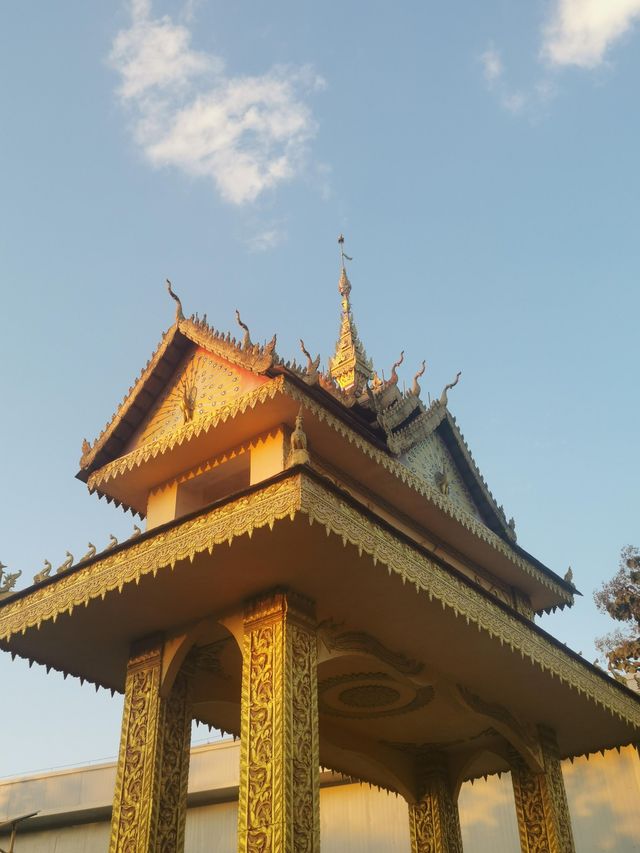 小眾寶藏地孟連，邊境的牛油果之約
