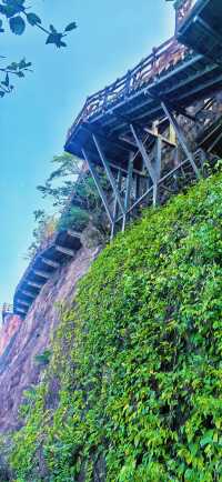 走進瓊海白石嶺，領略海南獨特嘅山岳風光同清新野趣