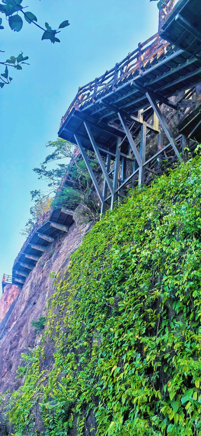 走進瓊海白石嶺，領略海南獨特嘅山岳風光同清新野趣