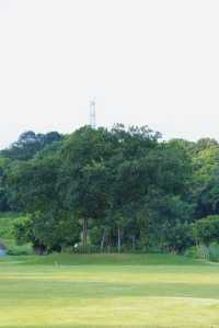 深圳有自己的阿勒泰！——恩上濕地公園