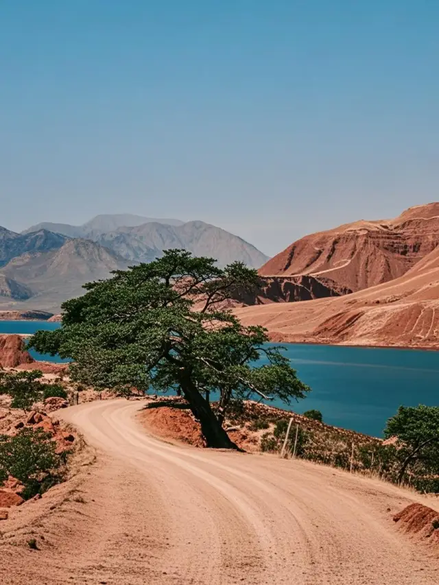 윈난 가족 여행 후기, 솔직한 이야기!(무보정 꿀팁 포함)