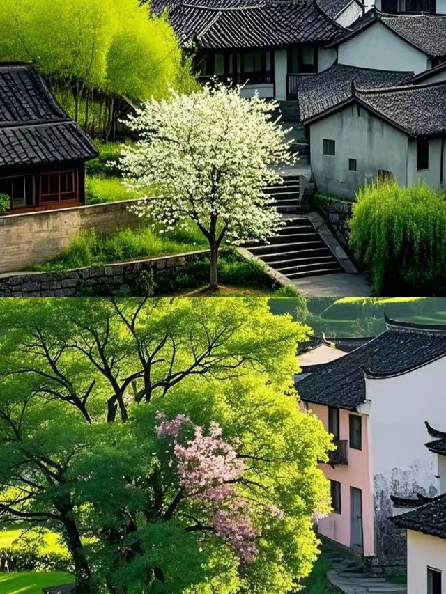 【宏村，水墨畫裡的世外桃源】