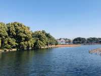 西湖美景和雷峰塔
