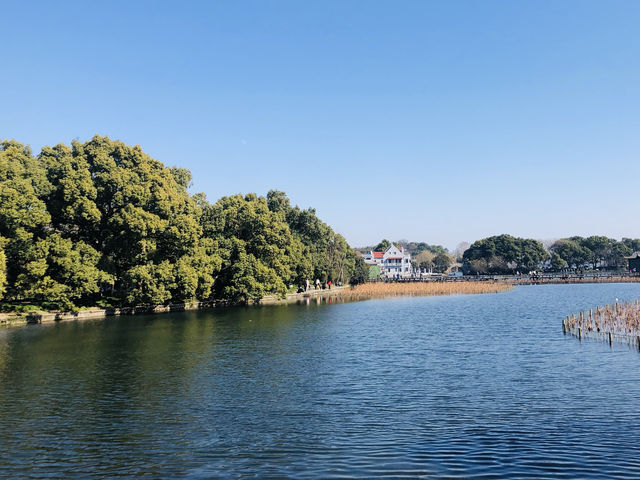 西湖美景和雷峰塔