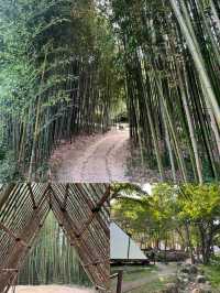 韓國潭陽郡