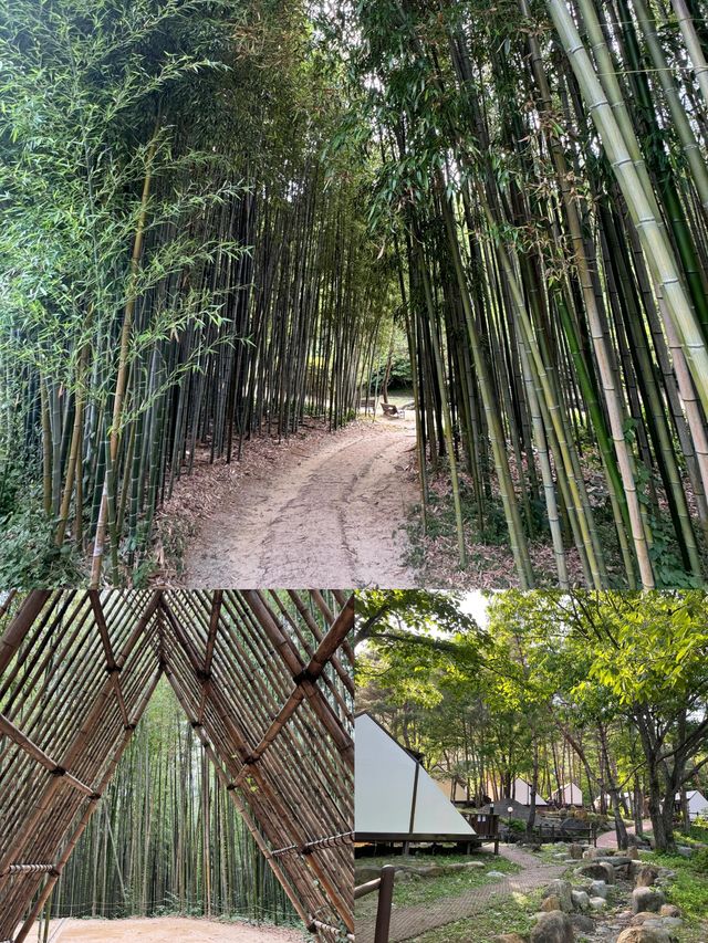 韓國潭陽郡