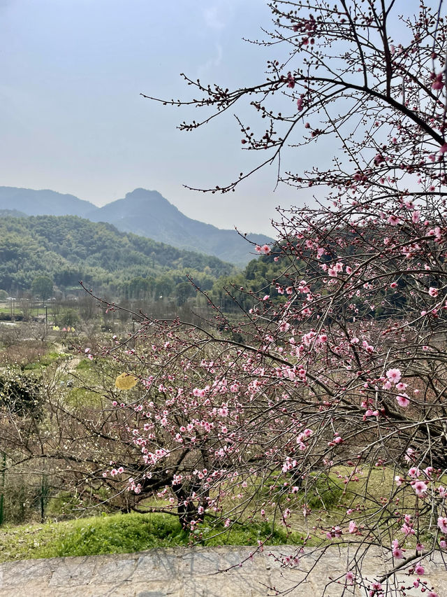 蕭紹古道