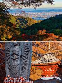 探索尾鷲：展開日本小眾詩意角落的奇幻之旅