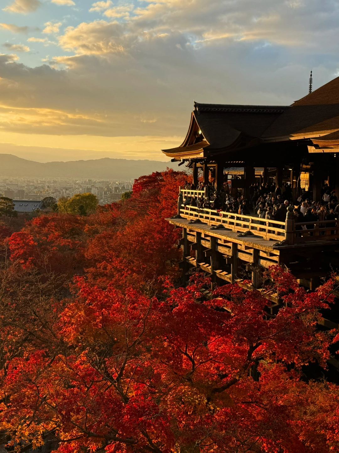 Amida❣️ロイヤルドルトン❣️AUTUMN BREEZE 秋のそよ風 1mi5v12000j6eqf28239C.jpg?proc