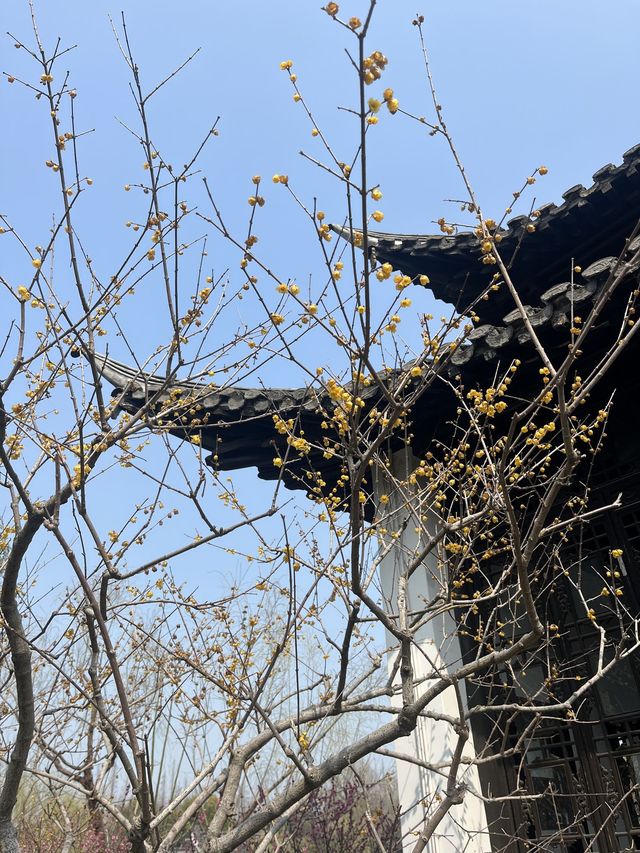 揚州-鎮江-南京Citywalk 解鎖三城魅力之旅