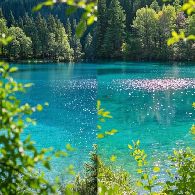 九寨溝踏春賞花，春天的約定