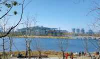 春天是逛公園的好時光～世博文化公園
