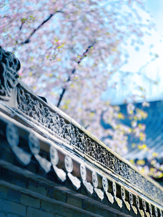 漢中市博物館的建築也值得一看