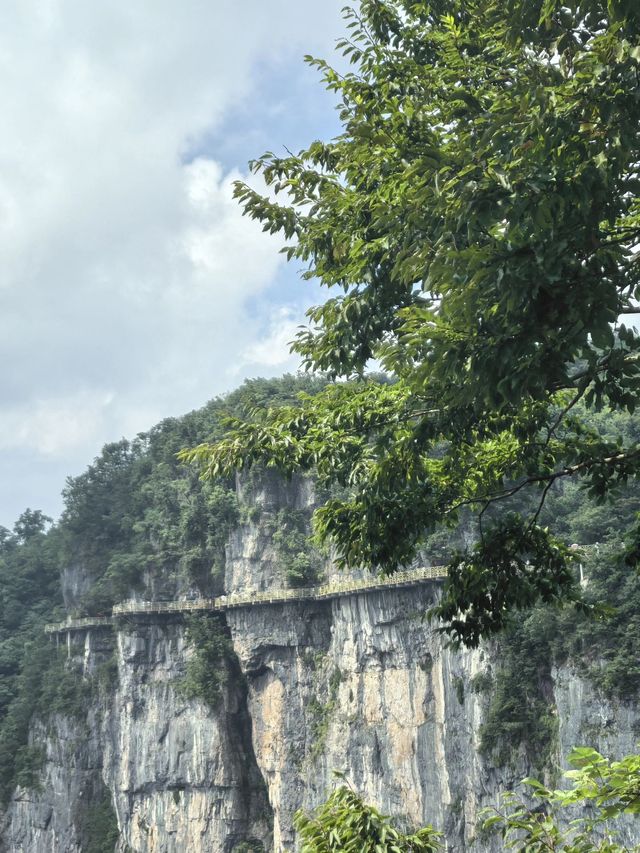 5天暢遊張家界等地超詳細攻略來襲速碼