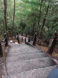 隨州雲峰山——藏喺山霧入面嘅綠野仙蹤