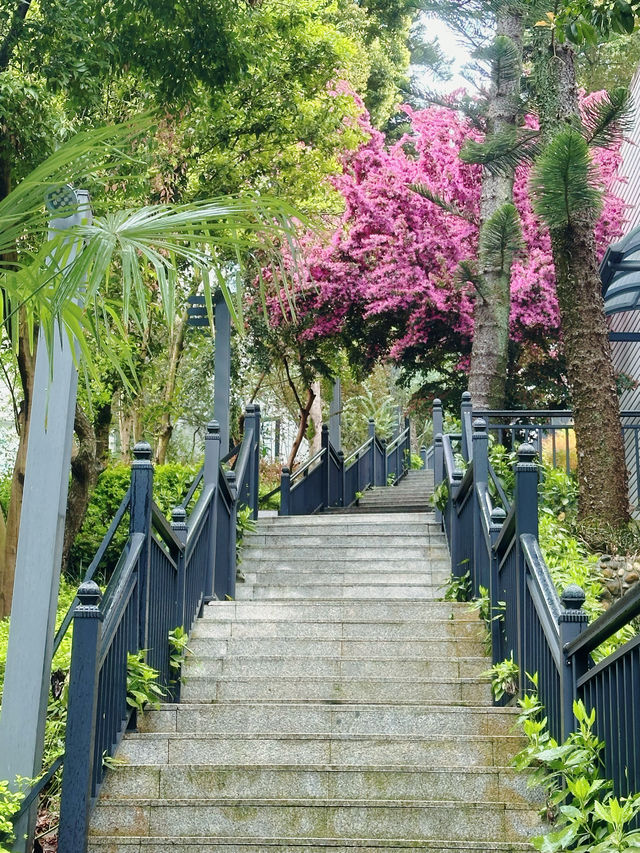 前有水後有靠山，風水極佳