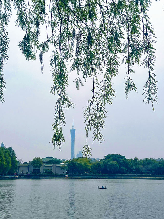 東山湖公園嘅中式美學