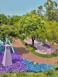 🌷珠海 | 城市客廳驚現夢幻花海鹿境