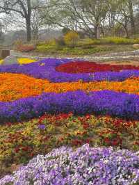 青島也有自己的秘密花園，你知道在哪裡嗎？