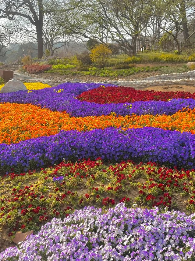 青島也有自己的秘密花園，你知道在哪裡嗎？