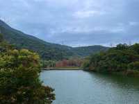 挖到寶了！深圳恩上水庫公園超絕攻略