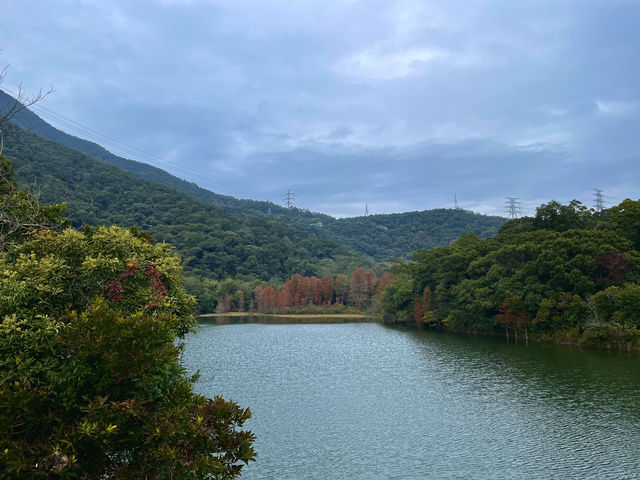 挖到寶了！深圳恩上水庫公園超絕攻略