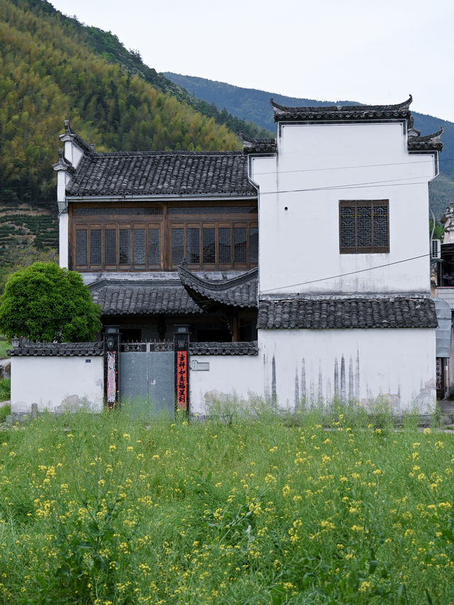 盧村｜這裡比宏村人更少景更美！沒有那麼商業化