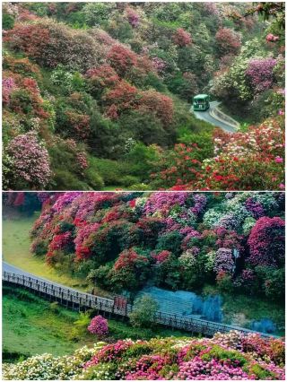 Four Underrated Destinations for May Day Holiday