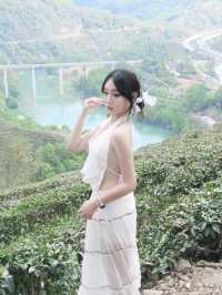 前方到站——漢中西鄉•綠葉仙蹤