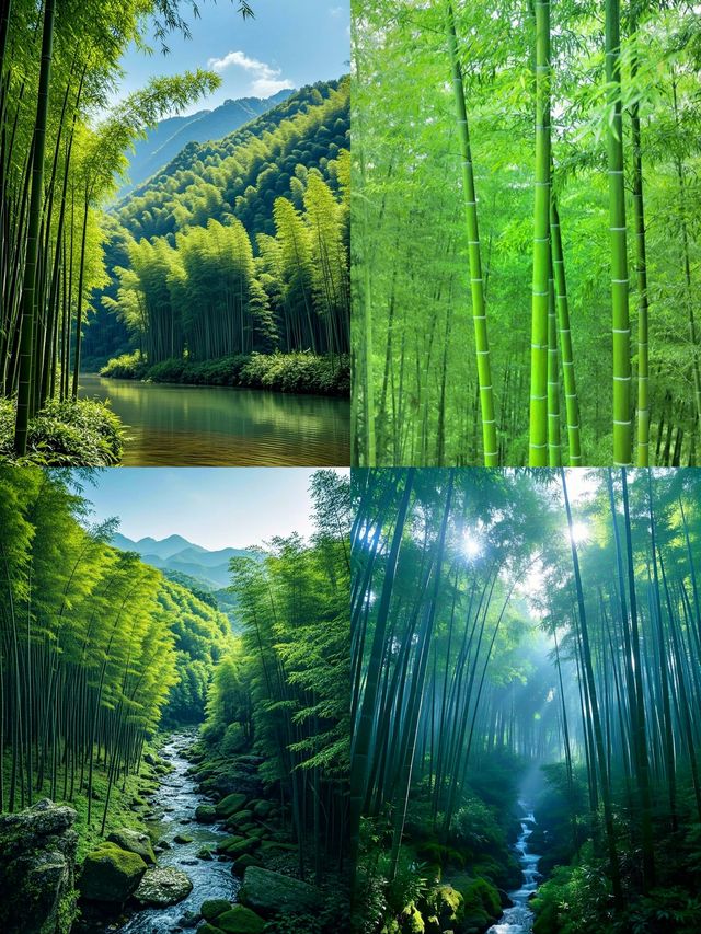 蜀南竹海：被竹林包裹的東方翡翠王國