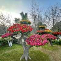 Whimsical charms of spring