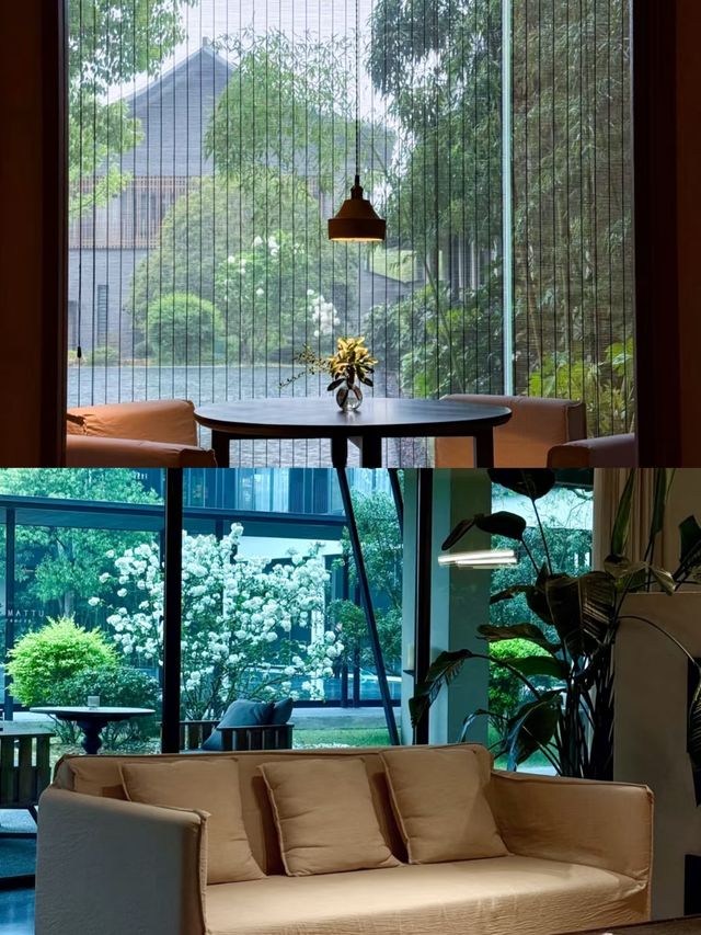 宜興|在萬畝竹海間泡湯療癒