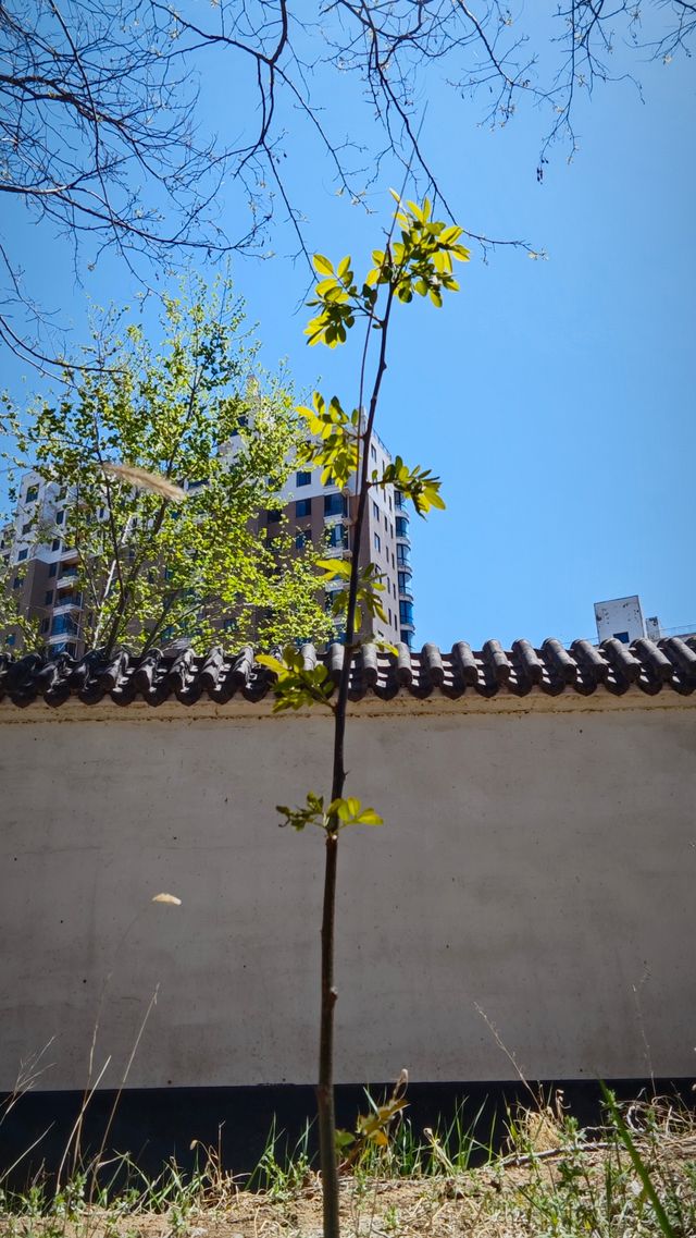 本地老司機推薦免費天然氧吧
