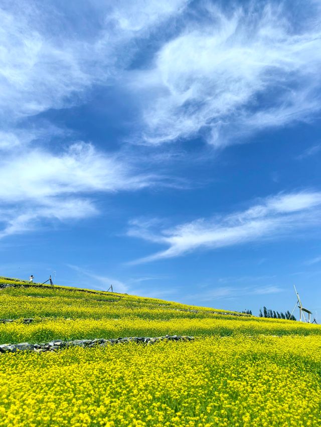 五一節快樂︱芸上梯田，雲下風景