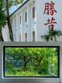 反向旅遊成功這才是溫州的正確打開方式
