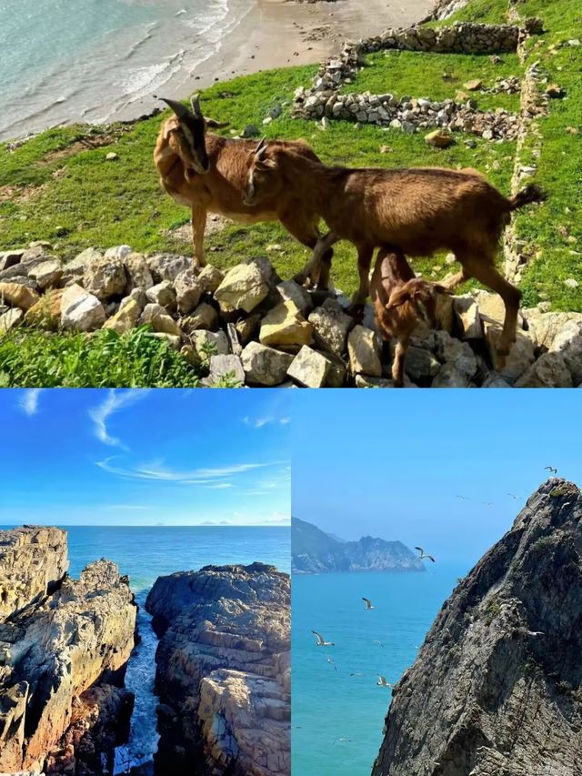 猶如薩爾達傳說的海島，美到離譜！