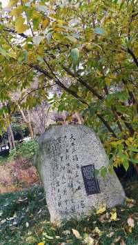 成都春日漫遊｜在浣花溪公園邂逅詩意與花開