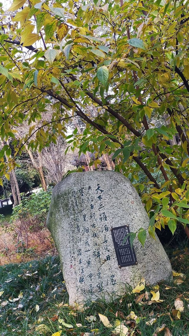成都春日漫遊｜在浣花溪公園邂逅詩意與花開